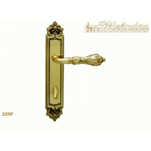 MELODIA 229 Wc Полированная латунь