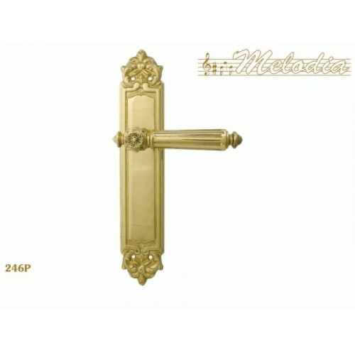 MELODIA NIKE 246 Pass Полированная латунь