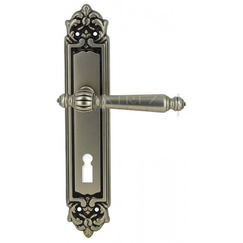 Extreza DANIEL (Даниел) 308 на планке PL02 KEY старинное серебро матовое F64