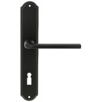 Extreza TERNI (Терни) 320 на планке PL01 KEY черный F22