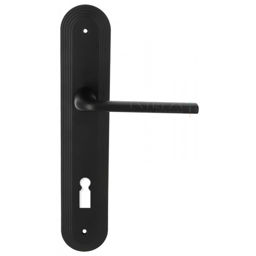 Extreza TERNI (Терни) 320 на планке PL05 KEY черный матовый F22